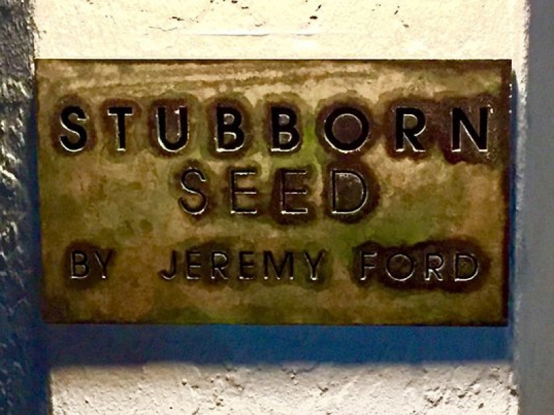 stubborn-36