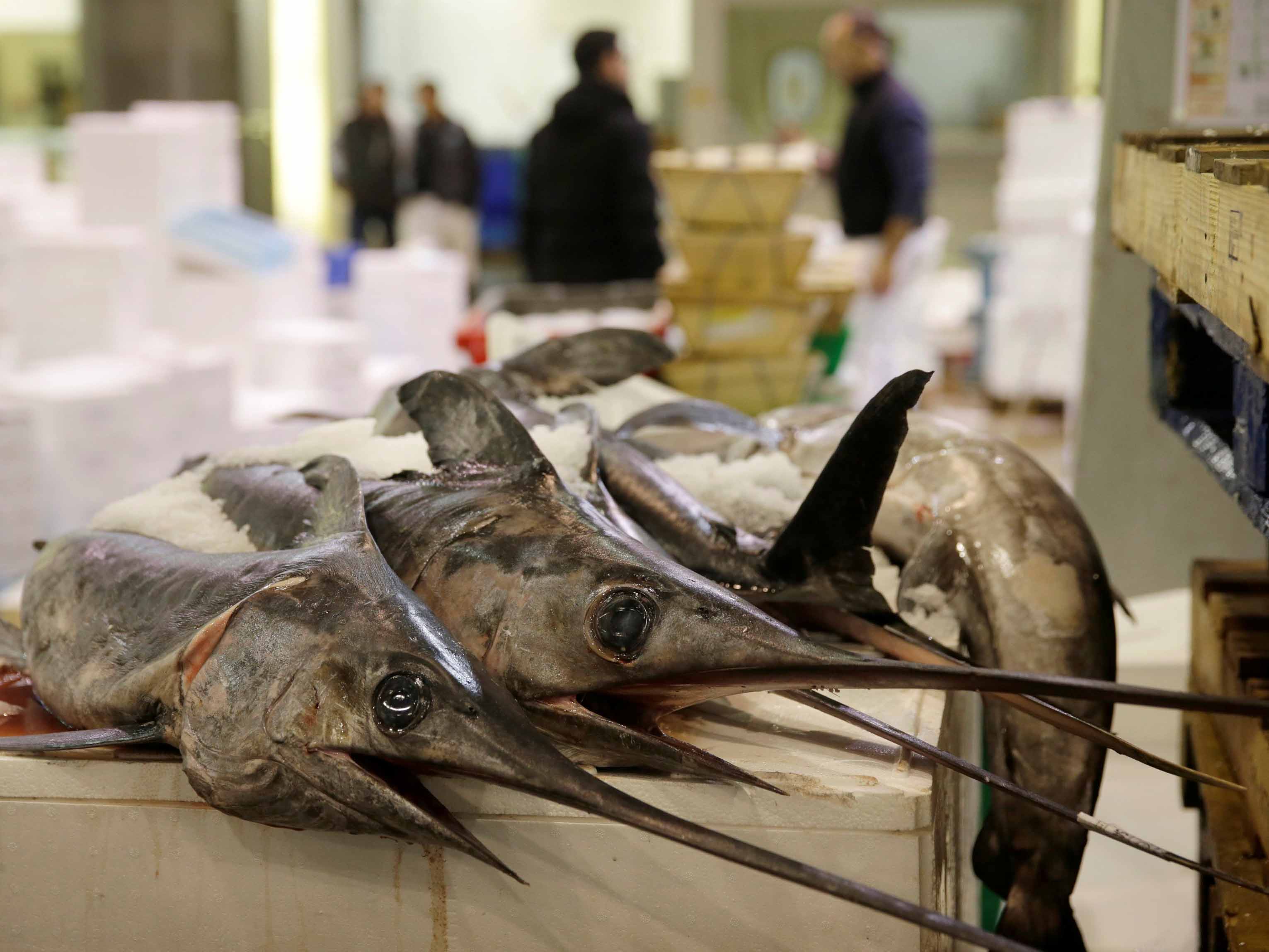 Swordfish are sold at the fish pavilion in Rungis International food market as buyers prepare for the Christmas holiday season in Rungis, south of Paris
