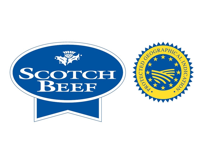 scotch-21
