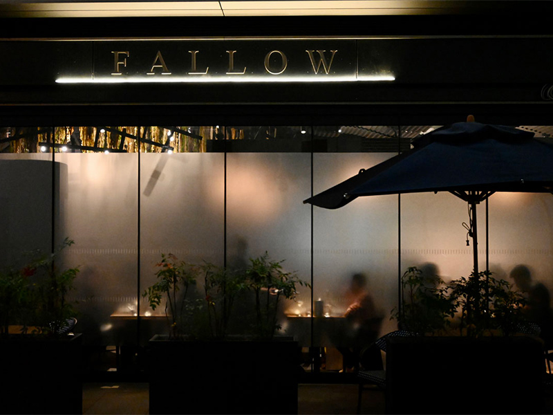 fallow-01