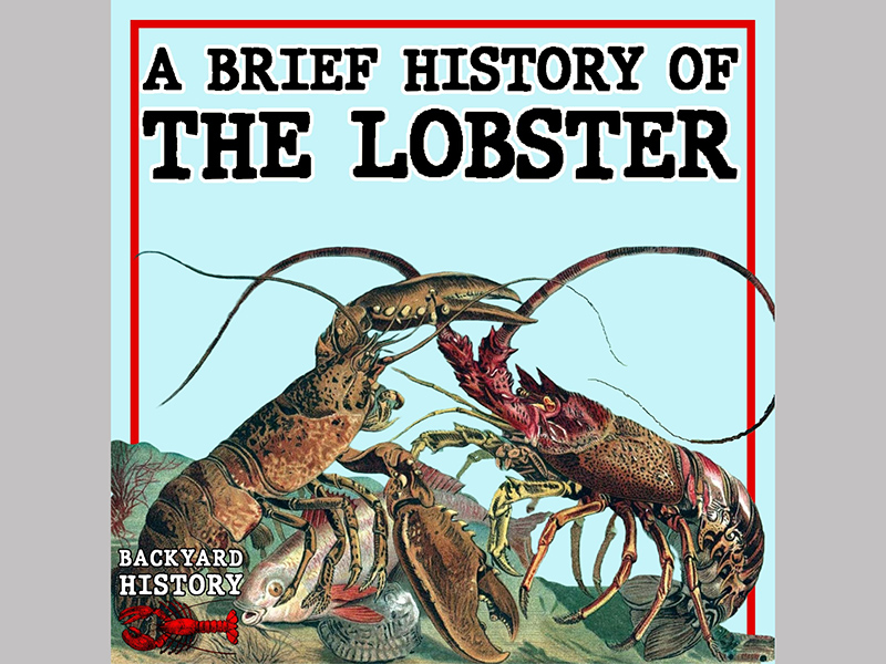 lobster-19