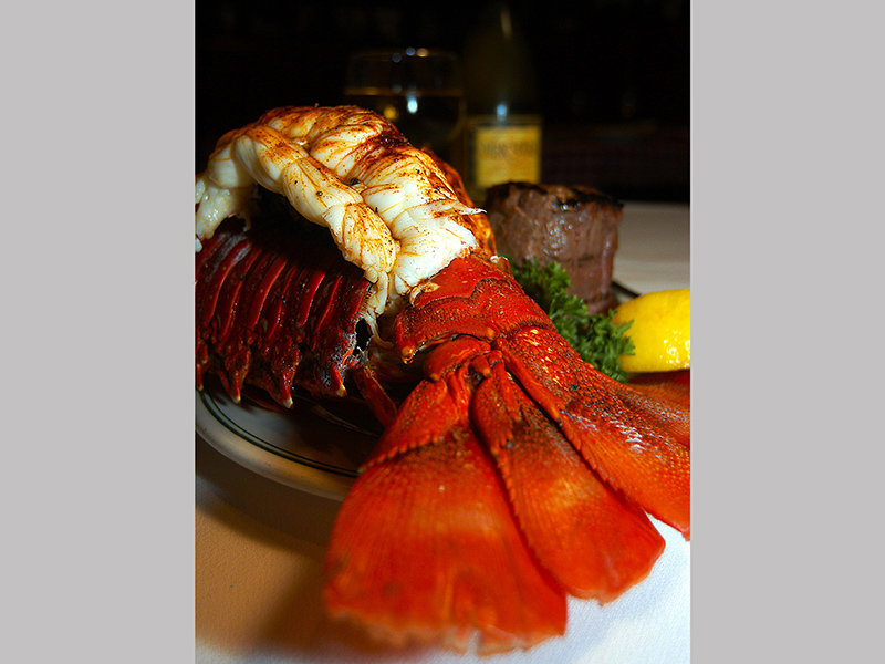 lobster-27