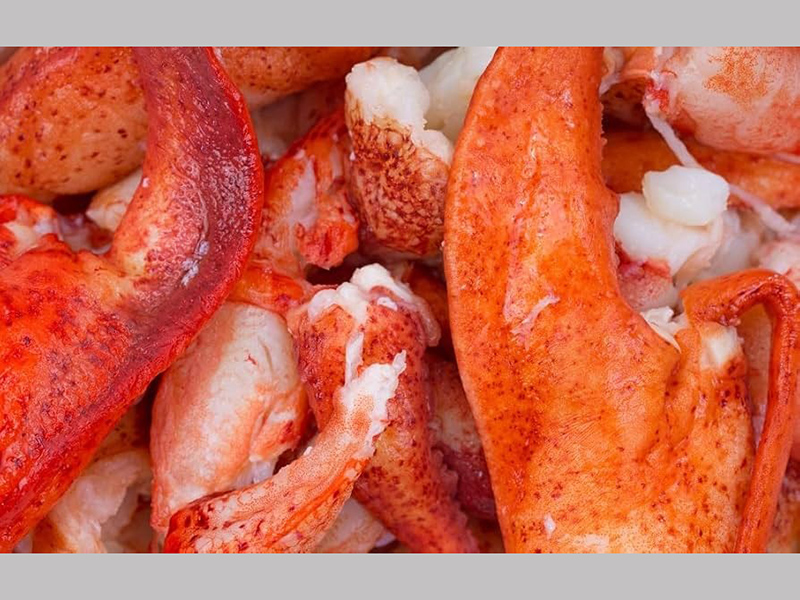 lobster-37